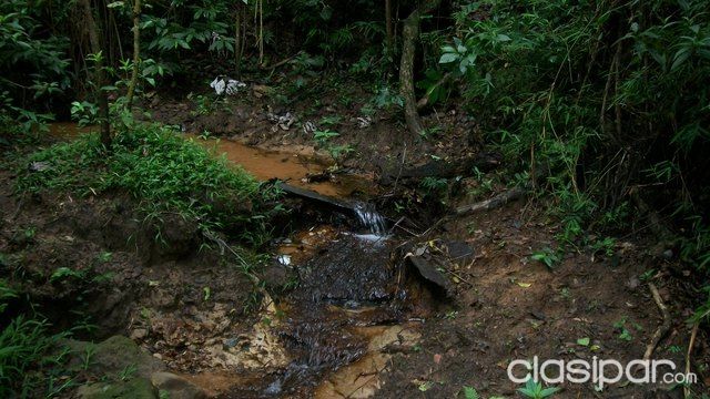 Terreno de 46 has. en La Colmena — foto 2