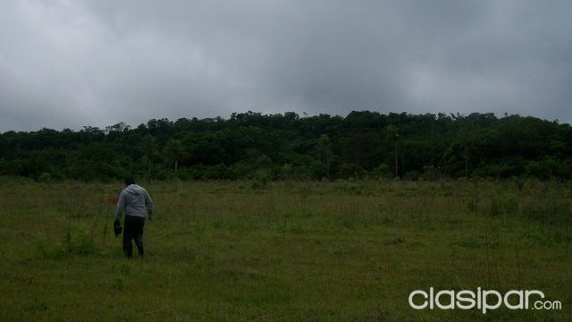 Terreno de 46 has. en La Colmena — foto 3