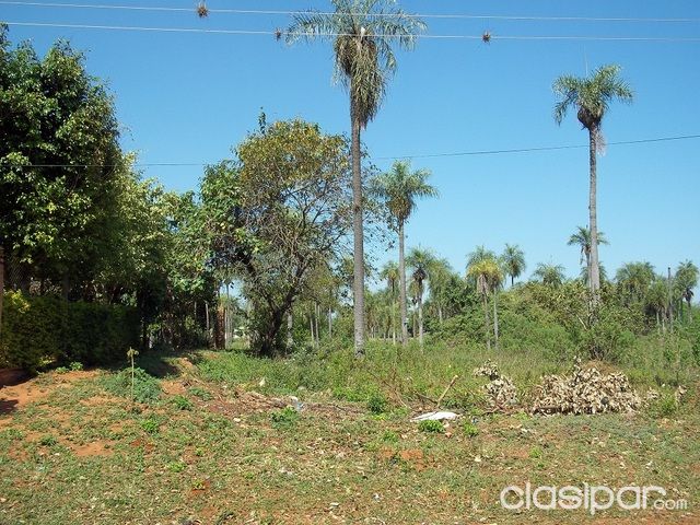Capiata Vendo Terreno en cercanías de Fábrica de Cuadernos Alamo CAPIATA KM 18 RUTA2 — foto 3