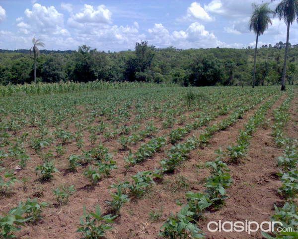 VENDO UNA PROPIEDAD DE 8 HAS CON NACIENTE NATURAL — foto 3