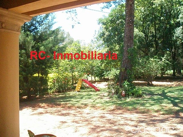 84 HAS. EN ENCARNACION — foto 2