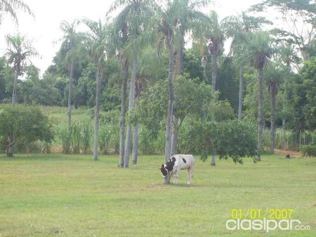 Vendo Hermosa Quinta Limpio Luque — foto 2