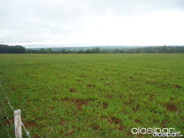 Terreno de 18 hectáreas en Colonia Blas Garay — foto 3