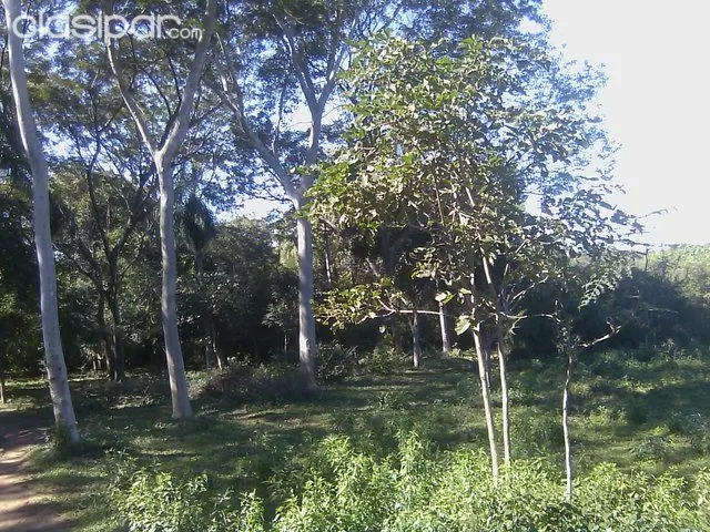 Vendo 2 hectareas en Limpio - terreno con mas de 20000 m2 — foto 2