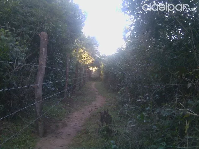 Vendo 2 hectareas en Limpio - terreno con mas de 20000 m2 — foto 3