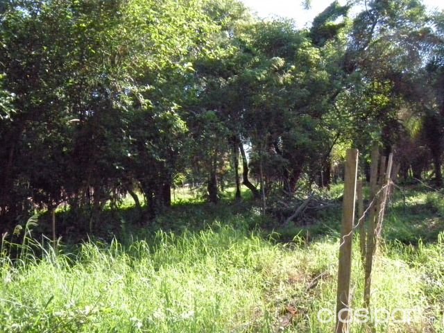 Vendo Terreno en Luque 35x12 — foto 2