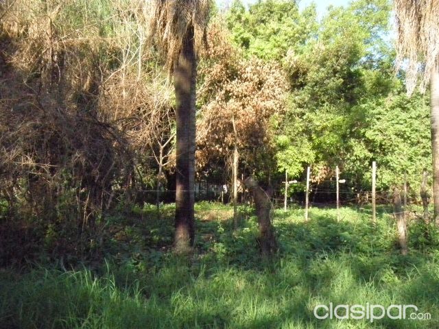 Vendo Terreno en Luque 35x12 — foto 3