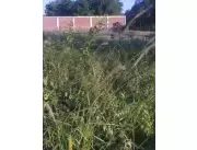 LIMPIAMOS SU TERRENO CON DESMALEZADORA