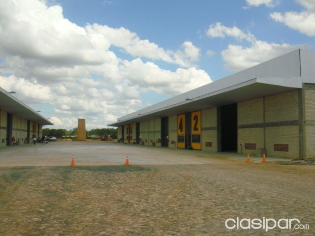 DEPOSITOS (REFRIGERADOS, INDUSTRIALES, ALMACENAMIENTO DE MERCADERIAS GENERALES) — foto 3