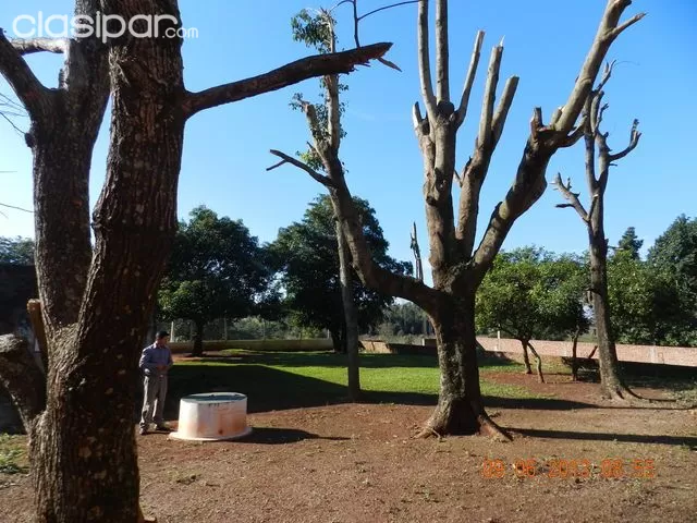 VENDO PROPIEDAD EN KM 23 MINGA GUAZU. 720 M2, sobre empedrado — foto 3