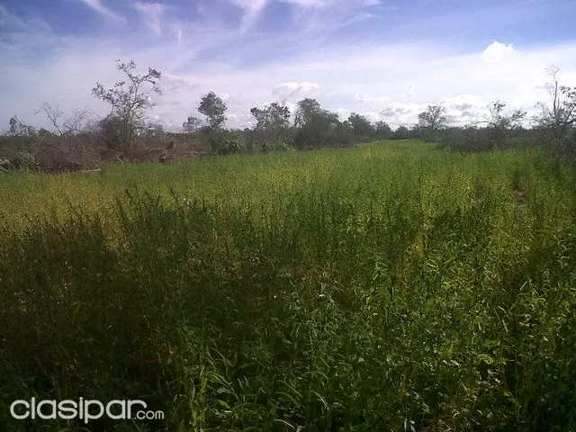 OFERTA ESTANCIA EN ALTO PARAGUAY. LA GERENZA — foto 3