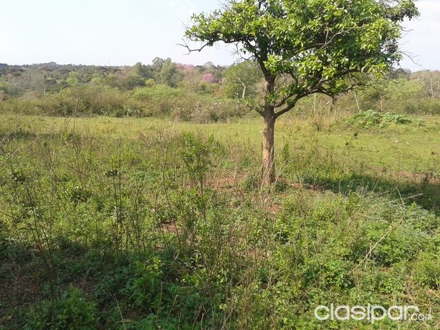 VENDO 10 TERRENOS EN ALTOS Y 1 HEPTAREA CAPIATA- PRECIO NEGOCIABLE — foto 2