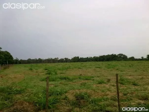 ESTANCIA,CAMPO DE 102 HAS. EN CRUCE LIBERARION SOBRE RUTA 3, DEPARTAMENTO DE SAN PEDRO!!! — foto 3