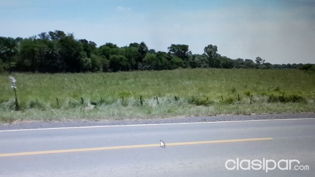 vendo 4 has en villa hayes sobre ruta camino a falcon. — foto 2