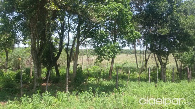 PROPIEDAD AGRICOLA GANADERA EN CORDILLERA — foto 3