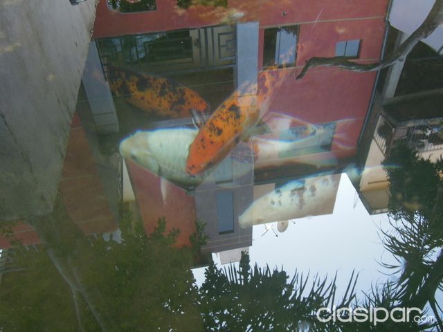 ..VENDO MANSION A 4 CUADRA DEL CENTRO DE CIUDAD DEL ESTE.. a estenar — foto 2