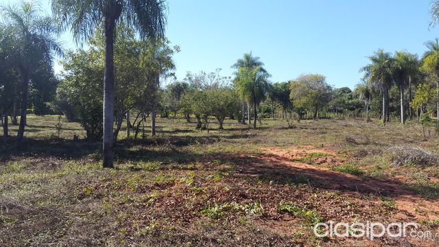 Vendo Propiedad en Thompson Ypane — foto 2