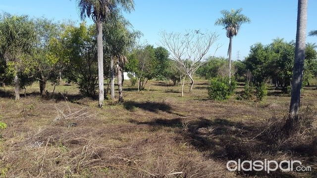 Vendo Propiedad en Thompson Ypane — foto 3