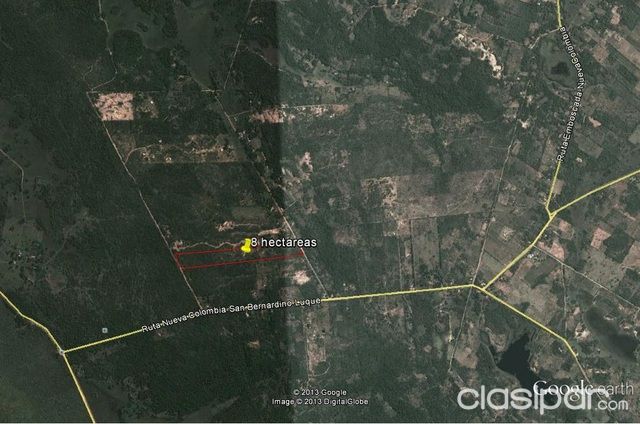 Terreno de 8 has. entre San Bernardino y Nueva Colombia — foto 2