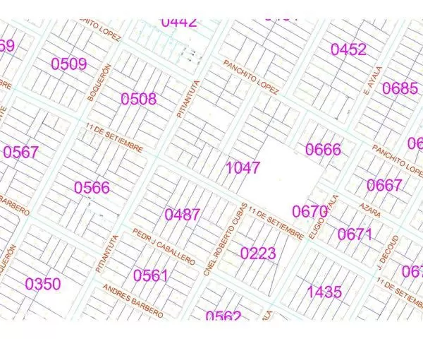 Planos manzaneros catastrales y Georeferenciados del Py — foto 3