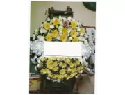 Floreria Vera Flores- Especialistas en emociones!!