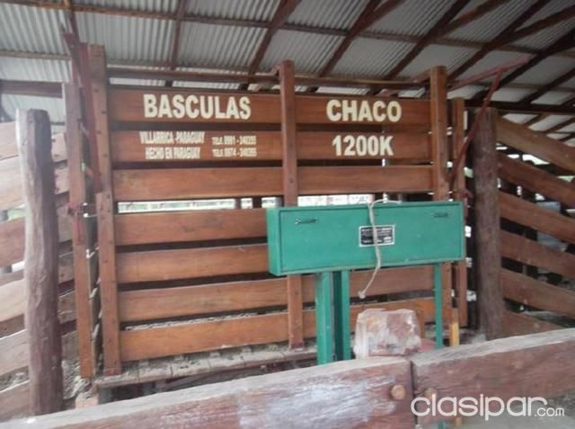 VENDO ESTANCIA EN GENERAL DIAZ 22500 HECTAREAS — foto 3