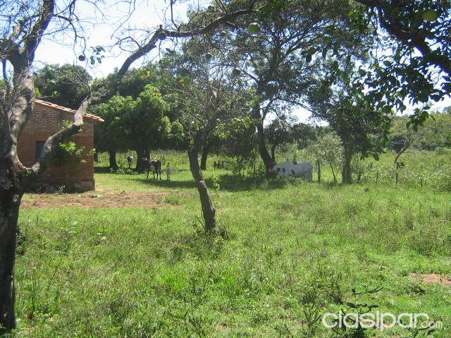 PROPIEDAD RURAL EN SAN BERNARDINO — foto 2