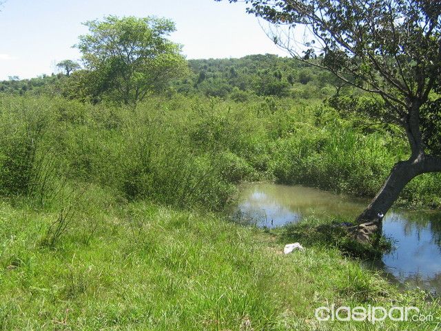 PROPIEDAD RURAL EN SAN BERNARDINO — foto 3