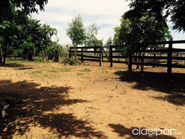 123 has.SAN ESTANISLADO — foto 3