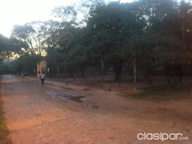 Vendo Terreno De 4578mts2 A Una Cuadra D La Ruta Luque Limpio — foto 2