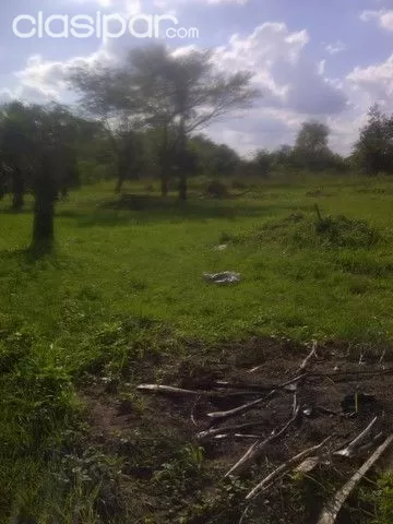 VENDO!! TERRENO EN LIMPIO - Fraccion Norte frente a Surubi`y a pasos del Abasto Norte — foto 2