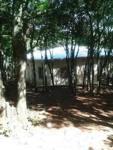 VENDO HERMOSO TERRENO DE 10 HECTAREAS CON CASA — foto 2