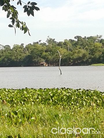 VENDO HERMOSO TERRENO DE 10 HECTAREAS CON CASA — foto 3