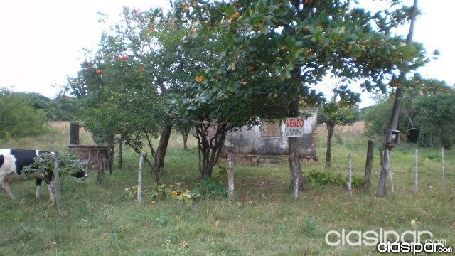 REMATO ULTIMO TERRENO DE GRAN DIMENSIÓN EN LA ZONA... 5HAS SOBRE RUTA EN LUQUE!!! — foto 2