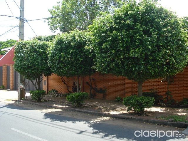 ZONA BANCO CENTRAL, LOS MANGALES, MBURUCUYA, TRINIDAD, OFERTO PROPIEDAD DE 1000 M2!!!!!!!!!!!!!!!!!!!!!!!!!!!!!!!!!!! — foto 3