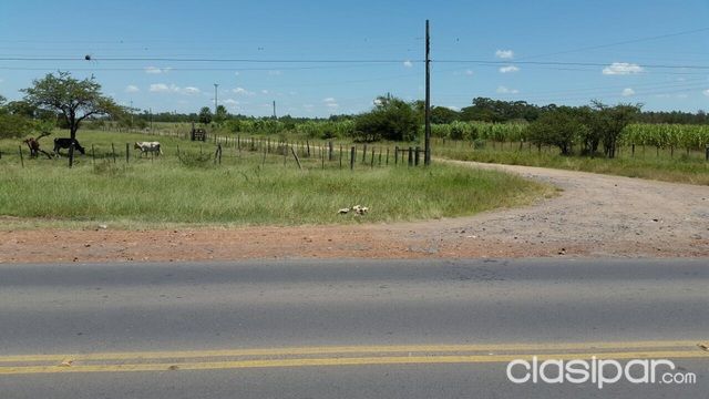 Vendo Propiedad en Villa Hayes. Excelente ubicación. — foto 3