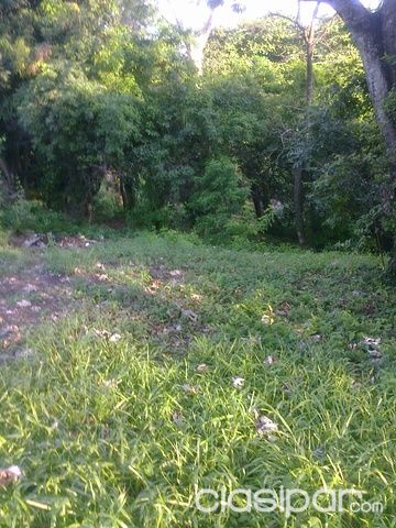 VENDO TERRENO EN BARRIO HERMOSA VILLA ELISA........ — foto 2
