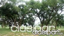 TERRENO EN GUARAMBARE UN PARAÍSO ESCONDIDO — foto 3