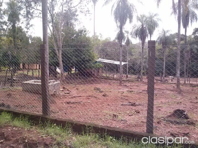 GRANJA LECHERA EN PRODUCCION — foto 3