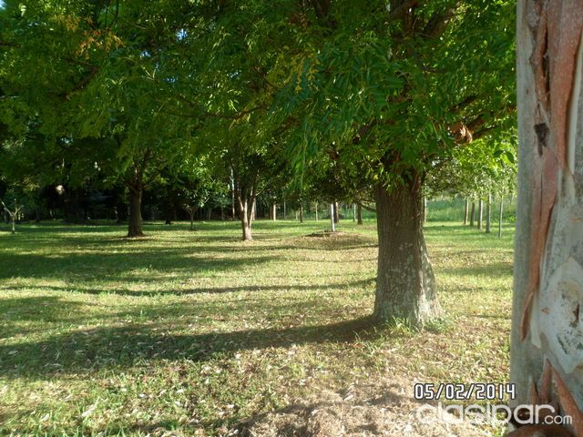 Vendo Hermoso Parque de tres Hectáreas. — foto 2