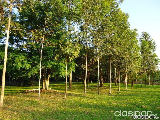 Vendo Hermoso Parque de tres Hectáreas. — foto 3