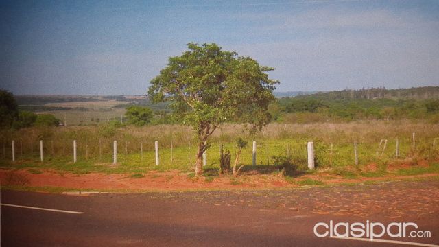 Atencion Zona VAQUERIA, CAAGUAZU, 35 hectareas a ambos lados de la Ruta XIII — foto 3