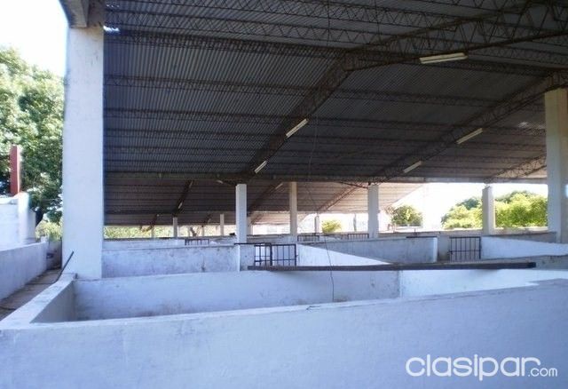 OFERTA MODERNA GRANJA EN PIRIBEBUY — foto 3