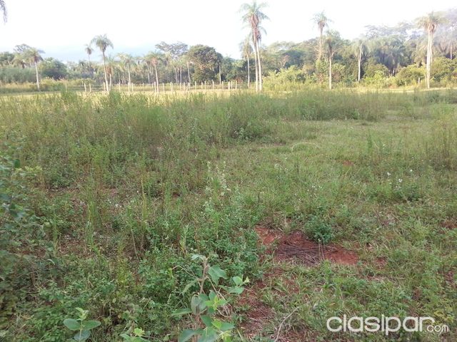 Hermoso terreno detras de la municipalidad de capiata, aproveche ya!! — foto 3