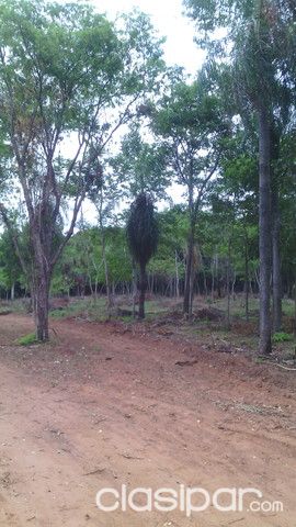 En El Centro De Itacurubi — foto 2