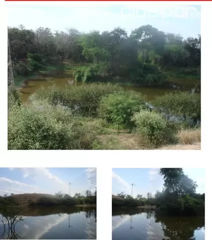 ESTANCIA FORMADA EN EL CHACO, DEPARTAMENTO DE BOQUERON!!! — foto 3