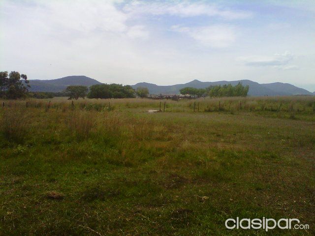 CAMPO DE 633 HAS EN MBOCAYATY DEPTO DEL GUAIRA!! — foto 3