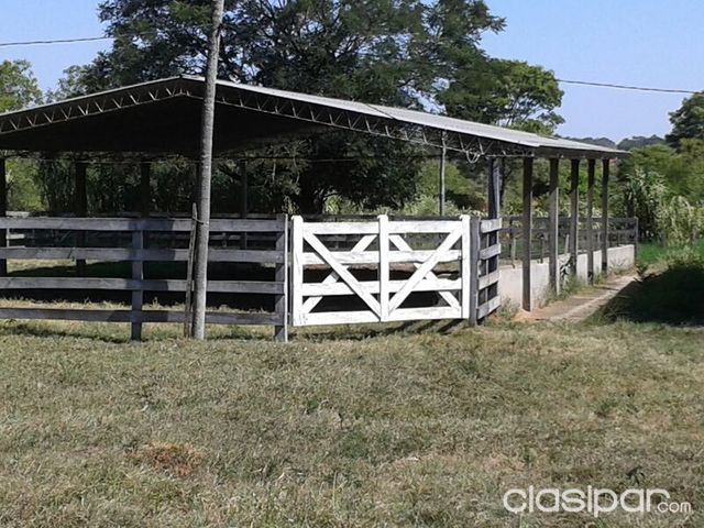LA PASTORA Cnel. OVIEDO PEQUEÑO CAMPO FORMADO, 9 HACT. CTODAS LAS COMOD. 50 MTS.COMISARIA, LUGAR CPEQÑO BOSQUE A 2 Hs. ASUNCION — foto 2
