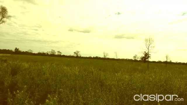 Remato Regalo Monte virgen. La Gerenza Alto Paraguay. CONTADO... — foto 2