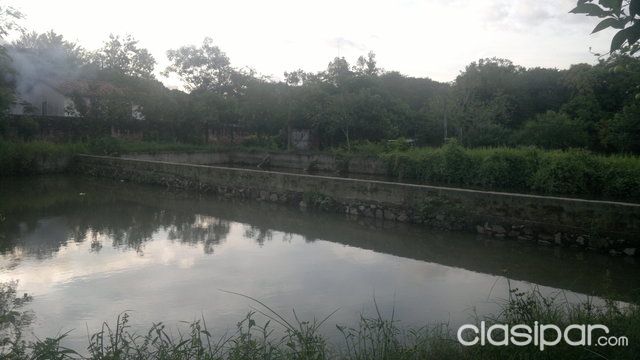 OFERTA QUINTA EN LUQUE — foto 3
